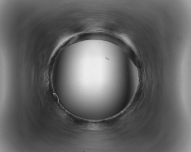 X0000086261364200704122002
