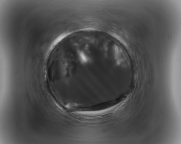 X0000086261367200704122002