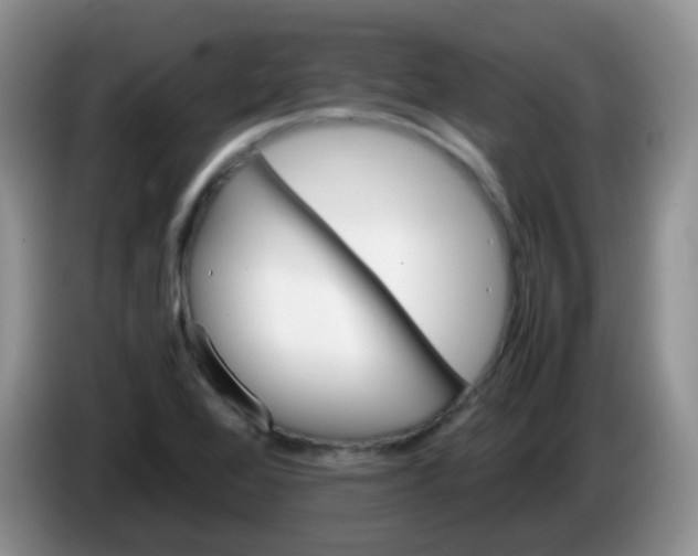 X0000086261368200704122002