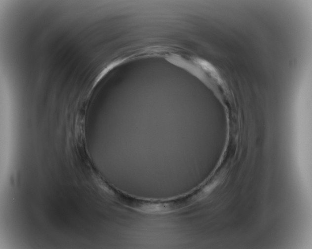 X0000086261369200704122002