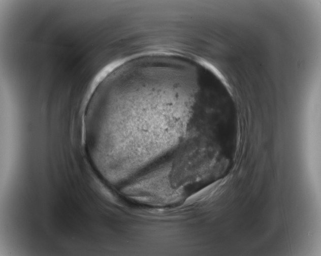 X0000086261371200704122002