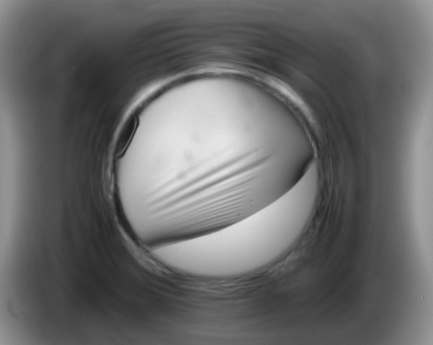 X0000086261372200704122002