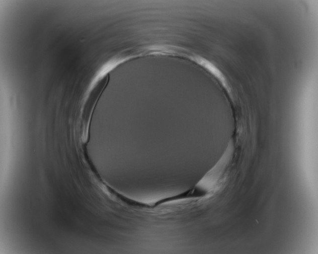X0000086261373200704122002