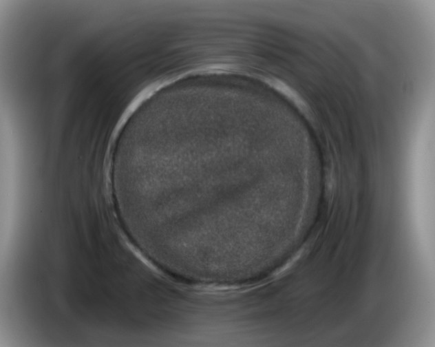 X0000086261374200704122002