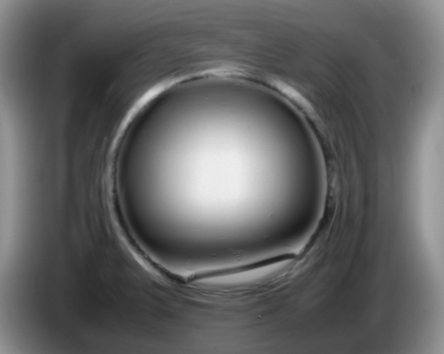 X0000086261375200704122002