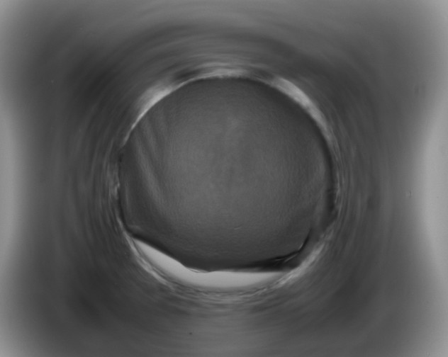 X0000086261377200704122002