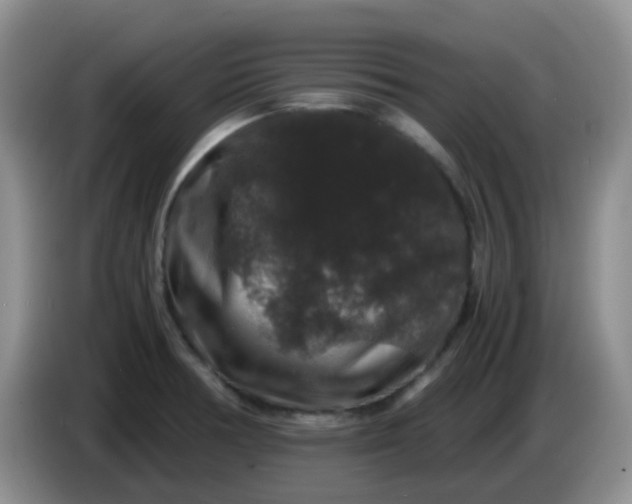 X0000086261378200704122002