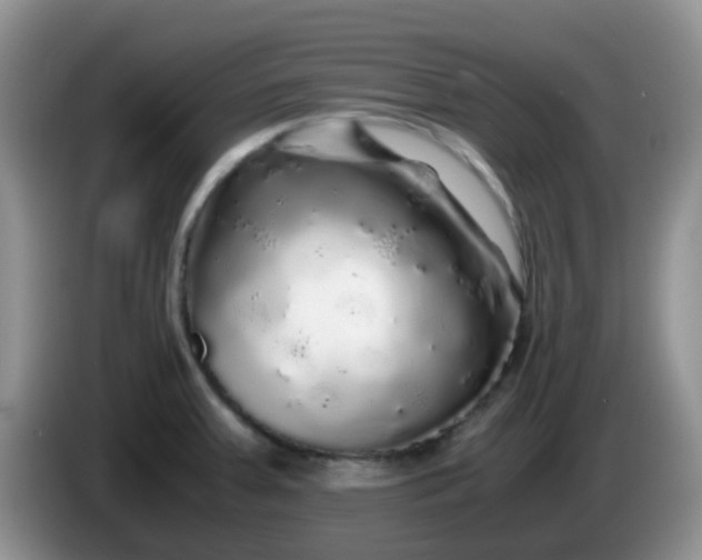 X0000086261379200704122002