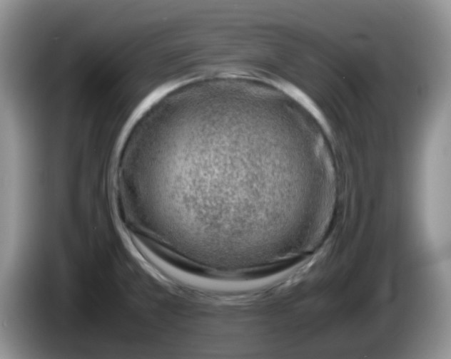 X0000086261381200704122002
