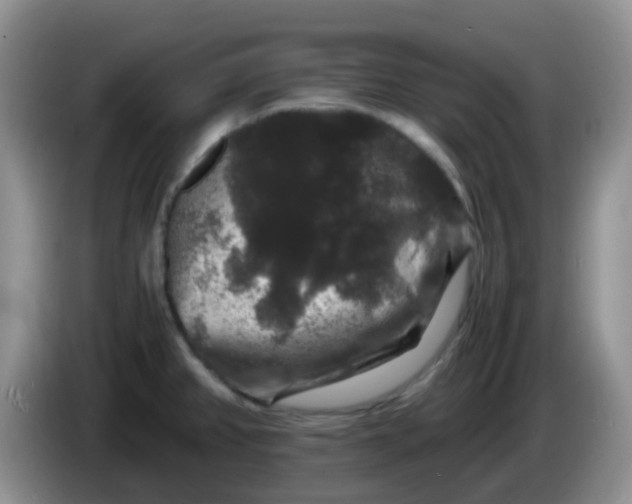 X0000086261382200704122002