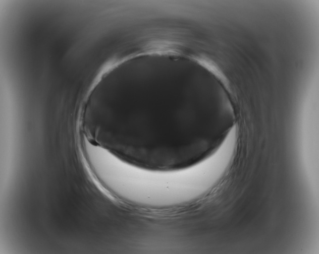 X0000086261383200704122002
