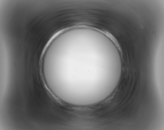 X0000086261384200704122002