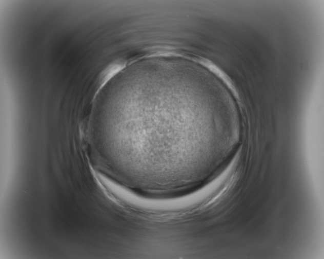 X0000086261385200704122002