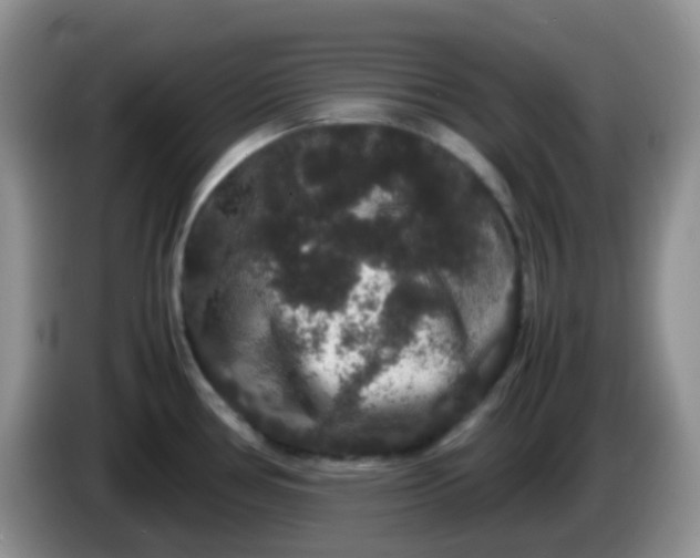 X0000086261386200704122002