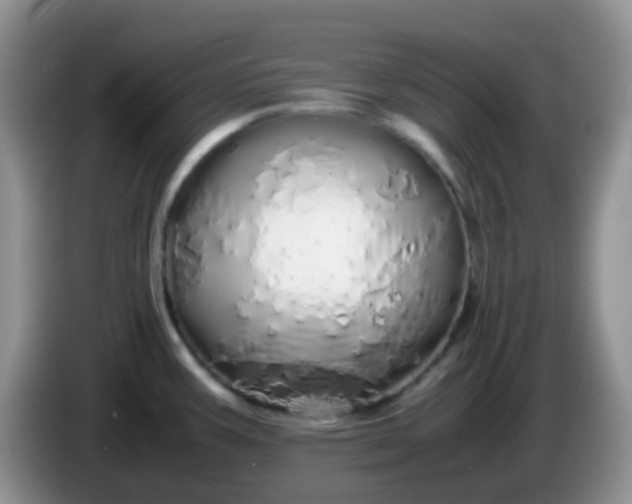 X0000086261387200704122002