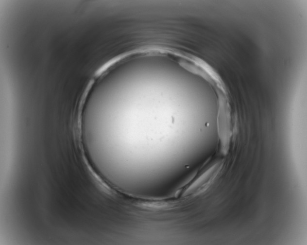 X0000086261388200704122002
