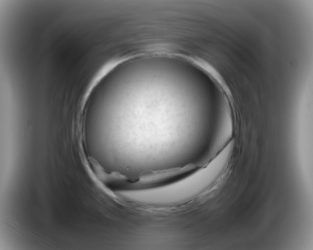 X0000086261389200704122002
