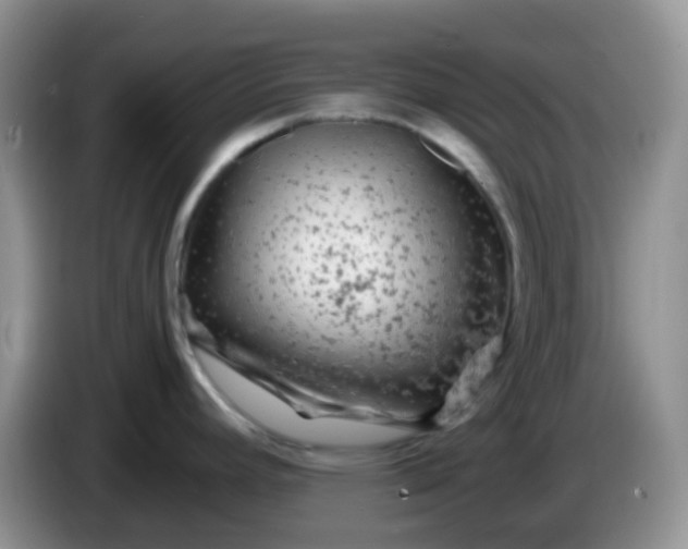 X0000086261392200704122002