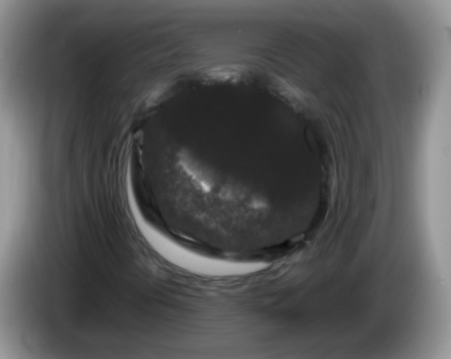 X0000086261394200704122001
