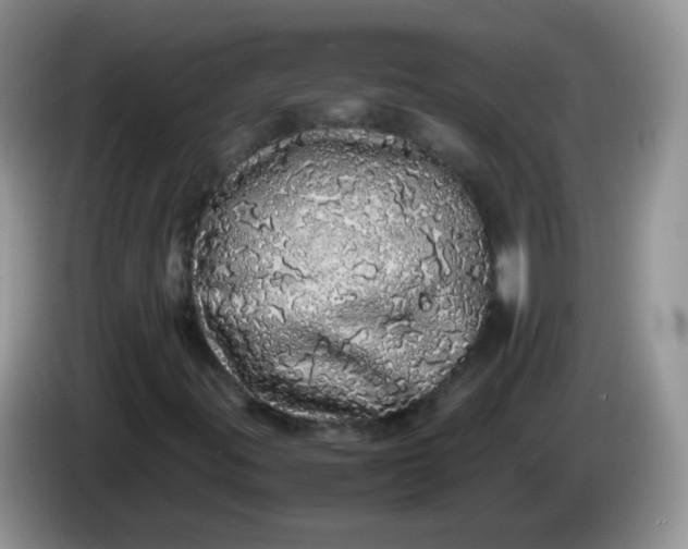 X0000086261395200704122001
