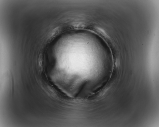 X0000086261396200704122001
