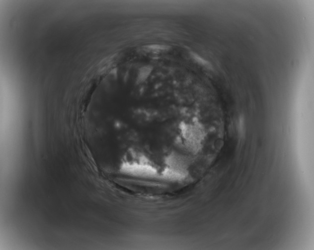 X0000086261397200704122001