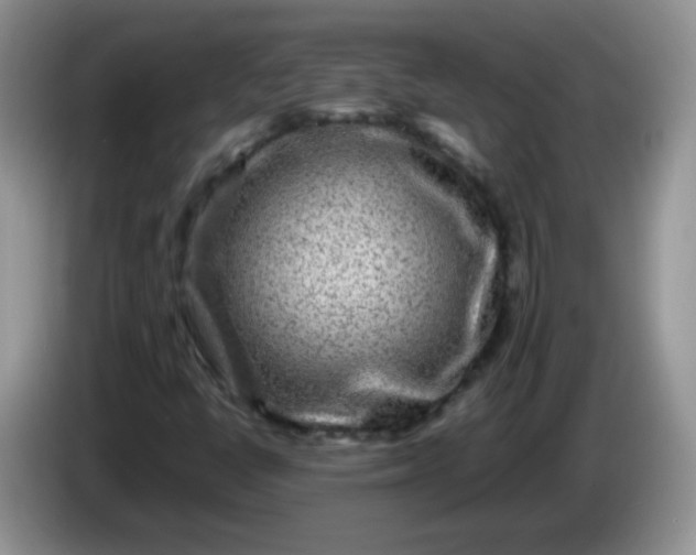 X0000086261398200704122001