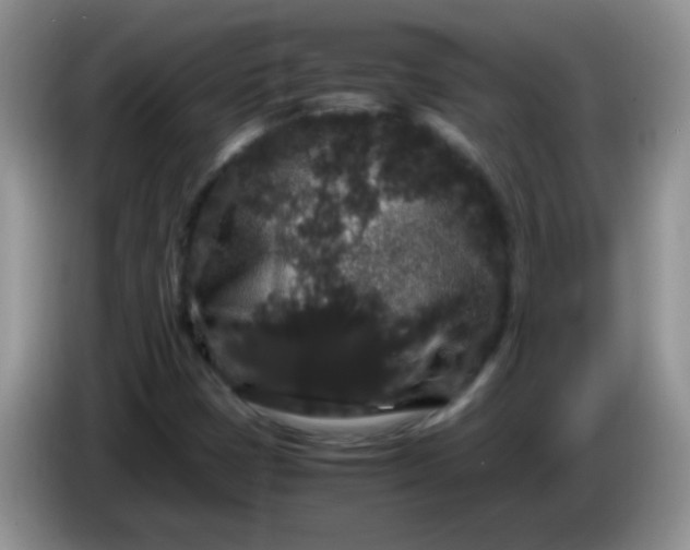 X0000086261401200704122002