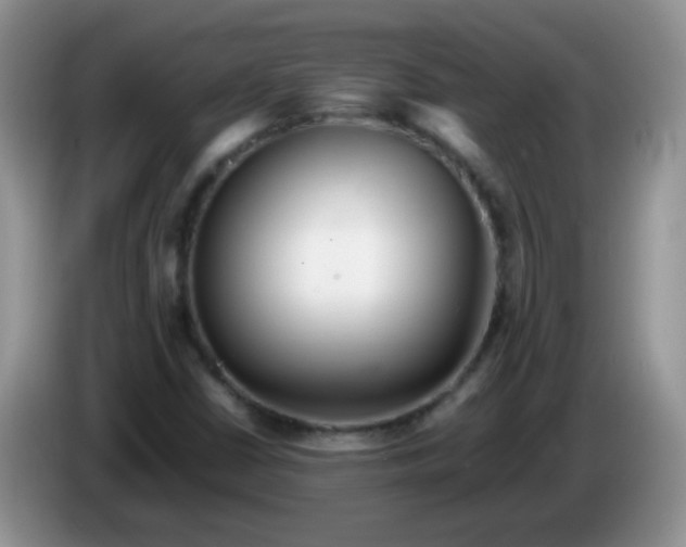 X0000086261402200704122002