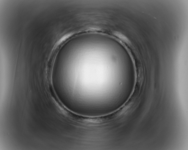 X0000086261404200704122002