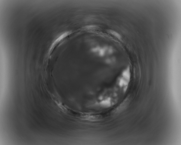 X0000086261405200704122002