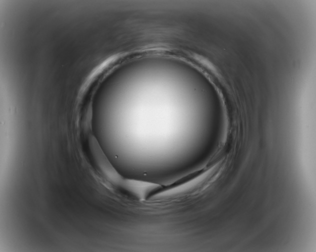 X0000086261406200704122002
