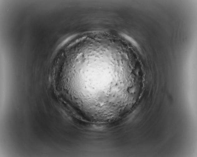 X0000086261407200704122002
