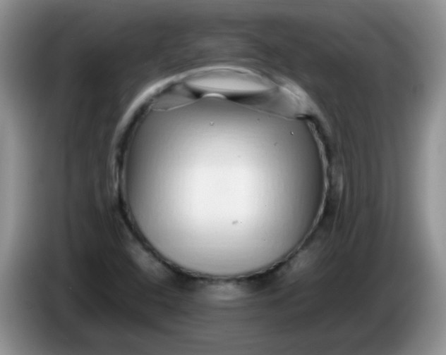 X0000086261408200704122002