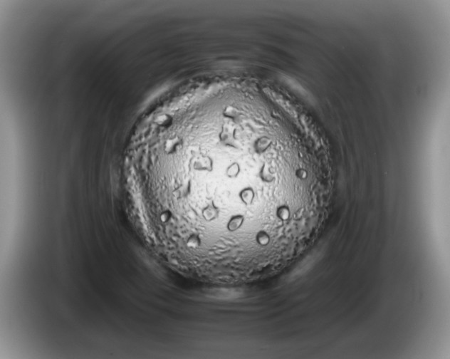 X0000086261409200704122002