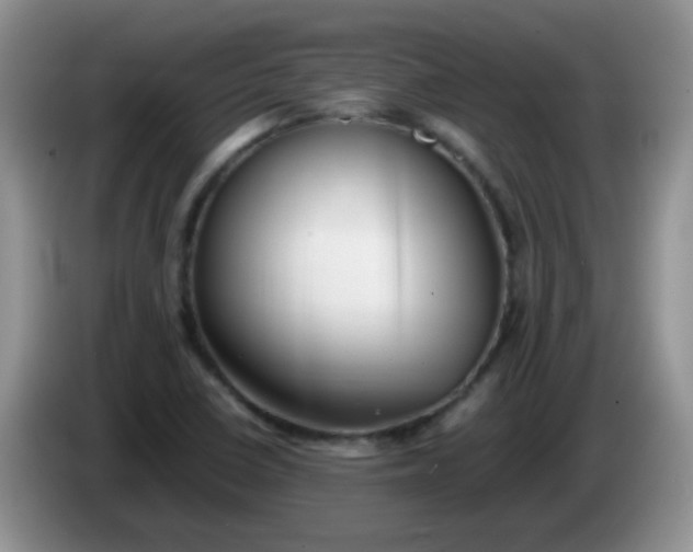 X0000086261410200704122002