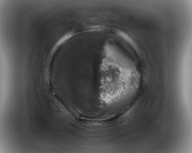 X0000086261411200704122002