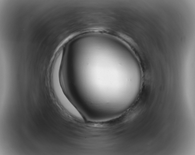 X0000086261412200704122002
