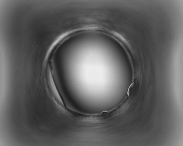X0000086261414200704122002