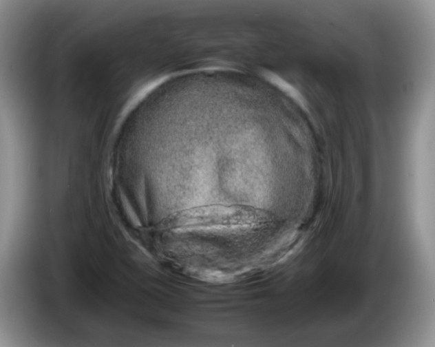 X0000086261415200704122002