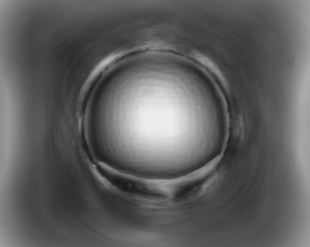X0000086261416200704122002