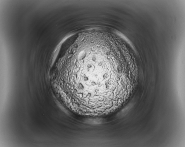 X0000086261417200704122002