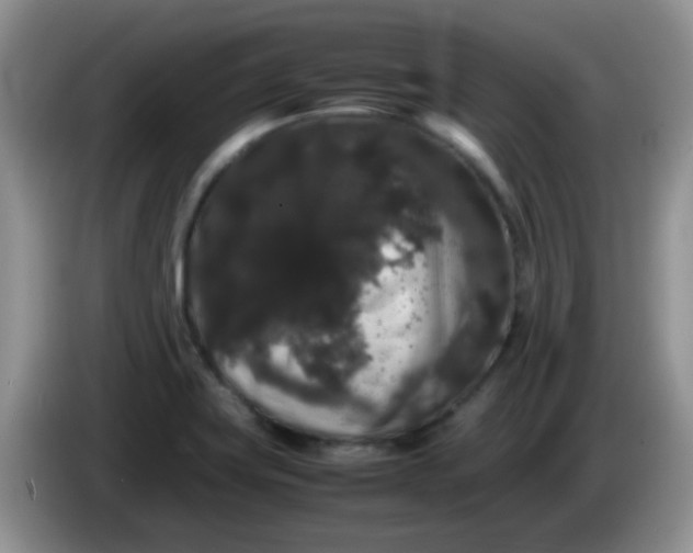X0000086261419200704122002