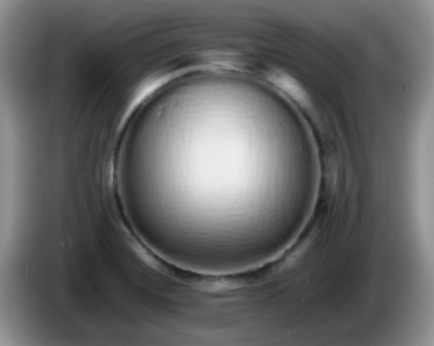 X0000086261420200704122002
