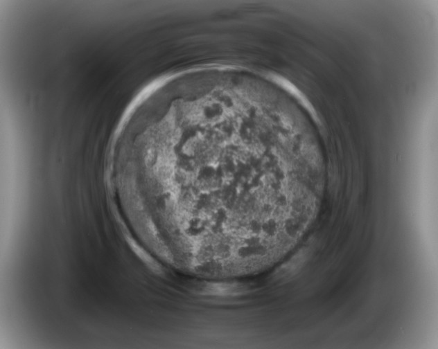 X0000086261421200704122002