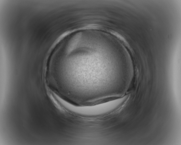 X0000086261422200704122002