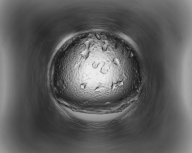 X0000086261423200704122002