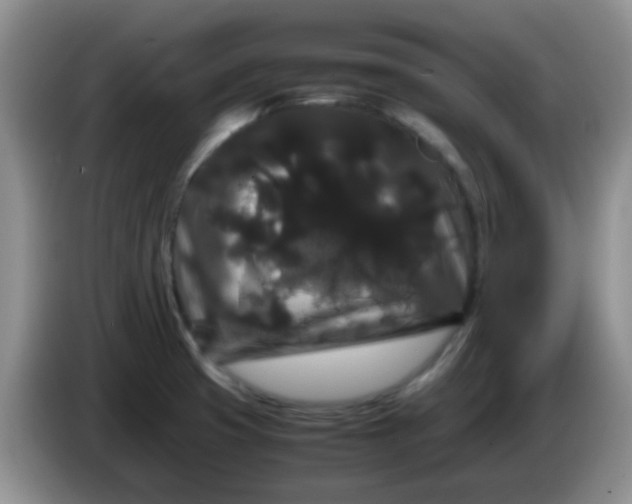 X0000086261425200704122002