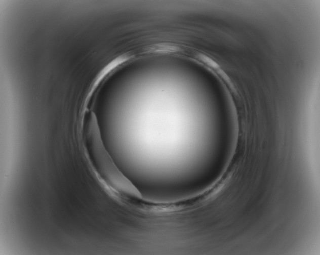 X0000086261426200704122002