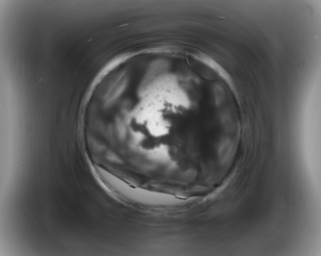 X0000086261429200704122002